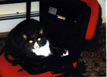 In my laptop case